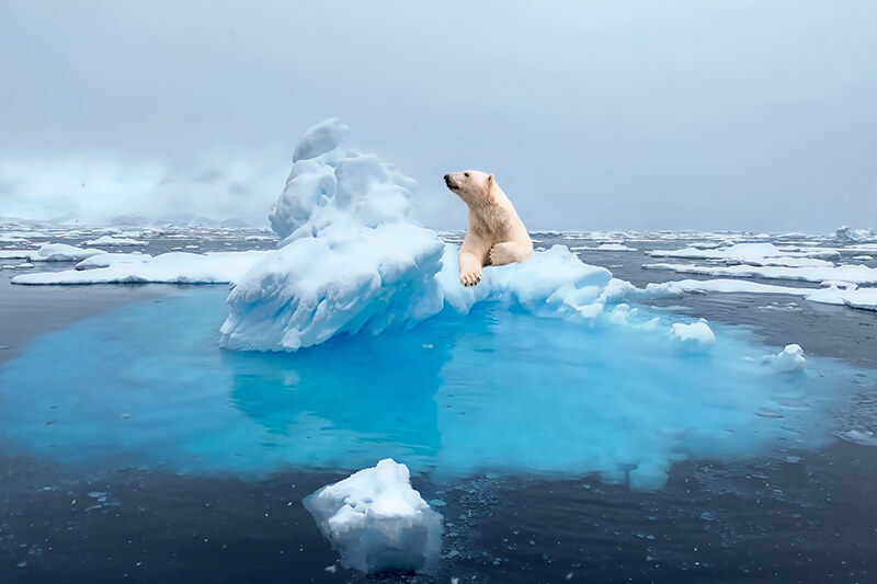 ผลกระทบจากสภาวะโลกร้อน